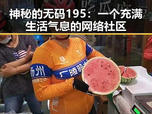 神秘的无码195：一个充满生活气息的网络社区