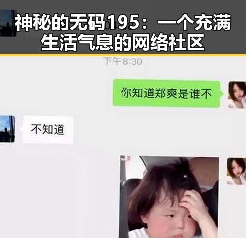 神秘的无码195：一个充满生活气息的网络社区