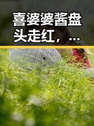 喜婆婆酱盘头走红，娱乐圈中的独特风景线